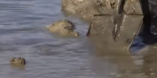 Солтүстік Қазақстан облысында 92 ауылды су басу қаупі бар