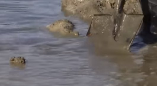 Солтүстік Қазақстан облысында 92 ауылды су басу қаупі бар